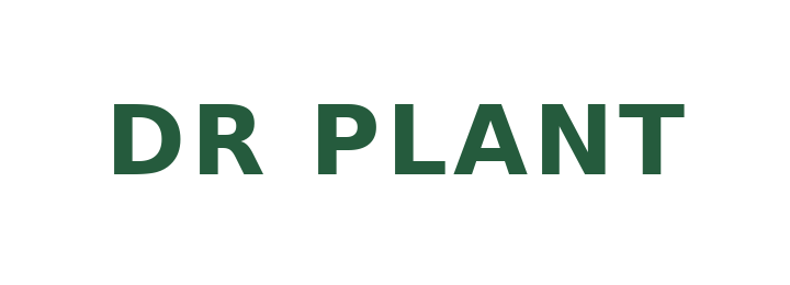 DR PLANT
